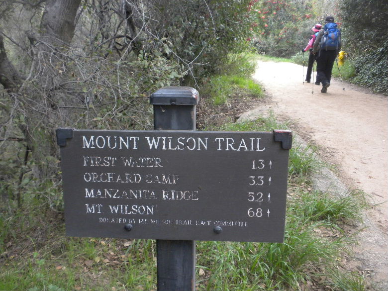 Wilson12510 012.jpg